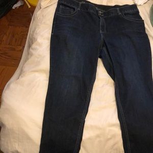 Lane Bryant jeans